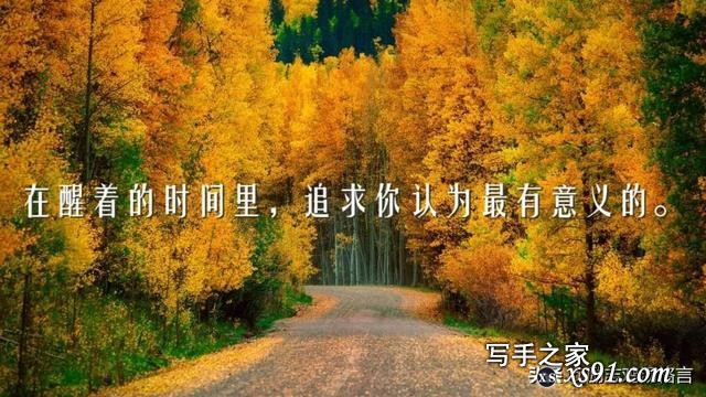 人生感悟19句：心灵鸡汤励志语录，每一句都激励着你！-15.jpg