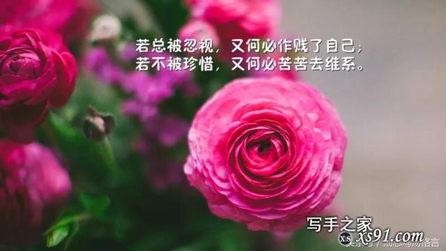 人生感悟20句：励志哲理，深入人心的句子-8.jpg