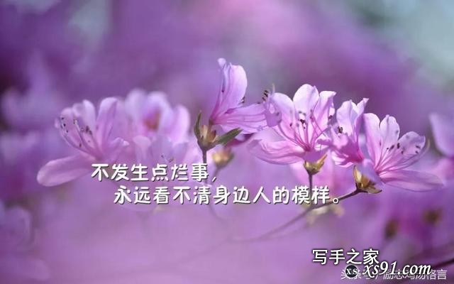 人生感悟20句：励志哲理，深入人心的句子-7.jpg