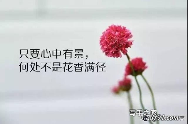 深入人心的人生哲理感悟语录，实在话-6.jpg