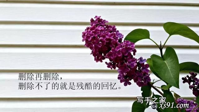 受欢迎的精辟短句，令人感悟良多！-11.jpg