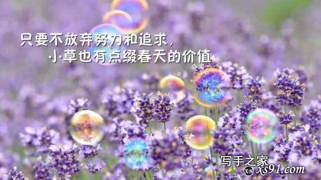 心灵鸡汤励志经典语录，拿去发朋友圈吧-1.jpg