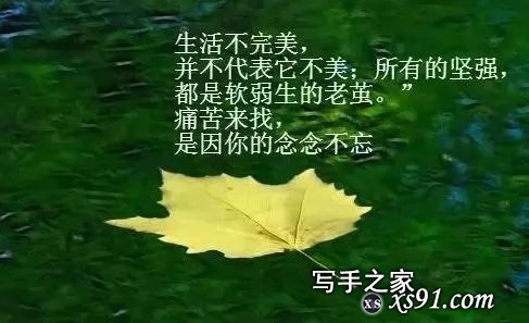 励志鸡汤文，能力不在脸上，本事不在嘴上，欲戴王冠，必承其重-2.jpg